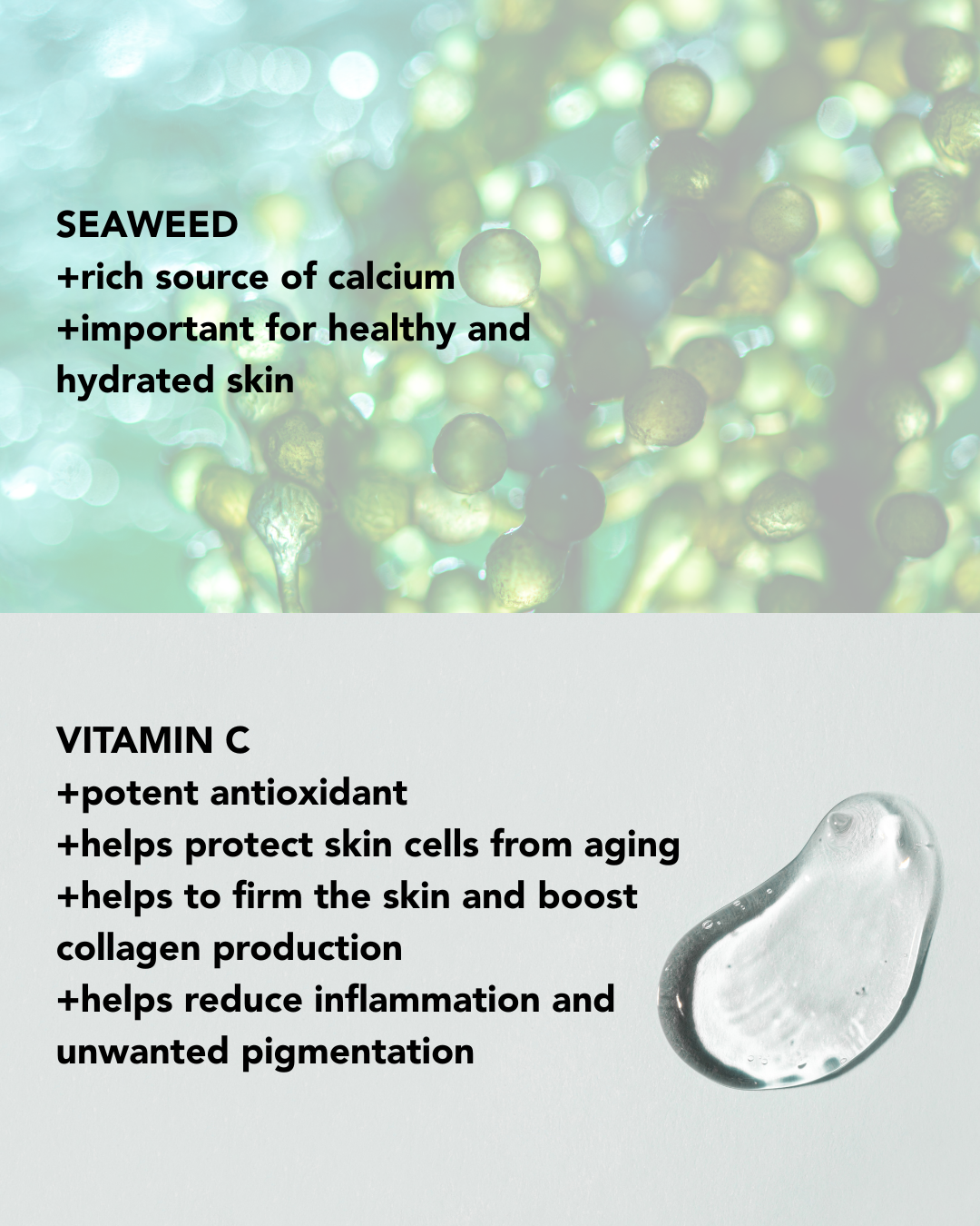 Winter Care Clear-out Bundle