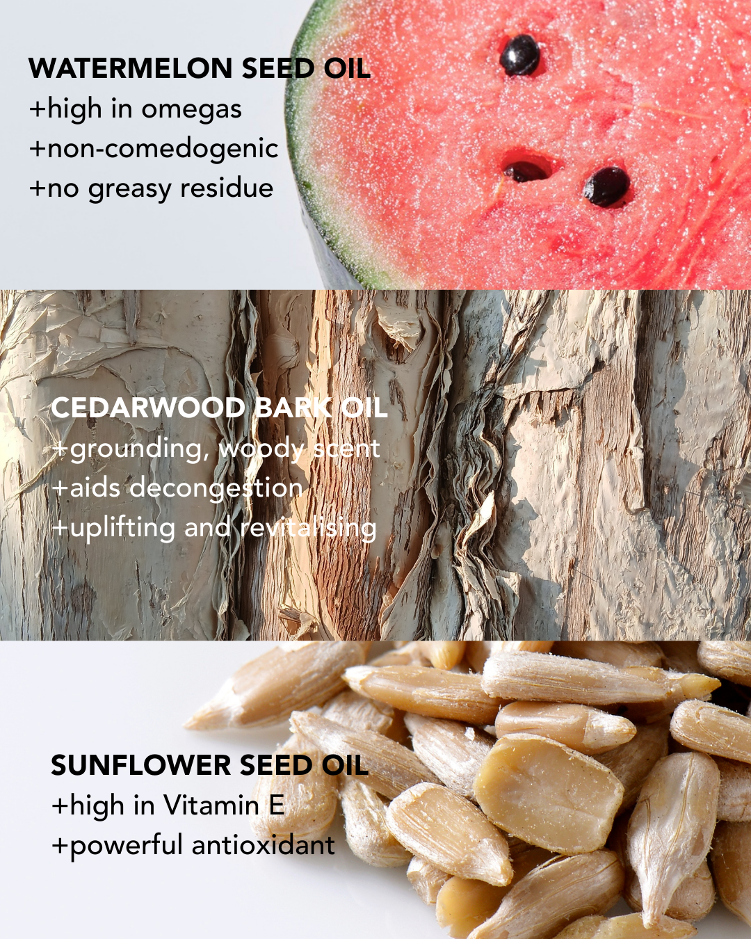 Absolute Cleansing Oil 100ml