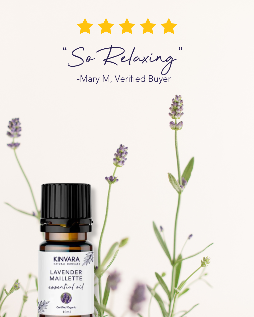 Lavender Maillette Essential Oil 10ml