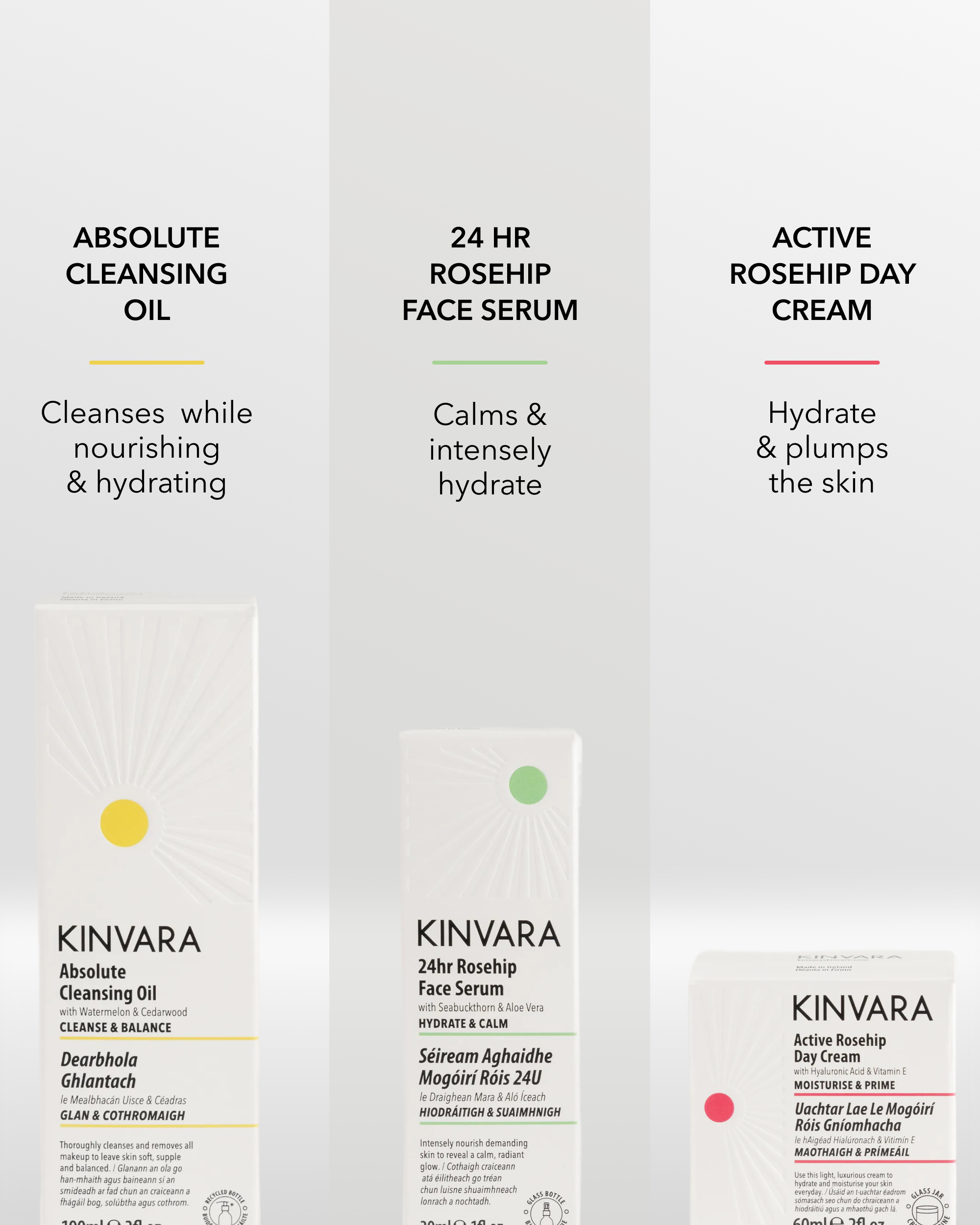 The Essentials Bundle