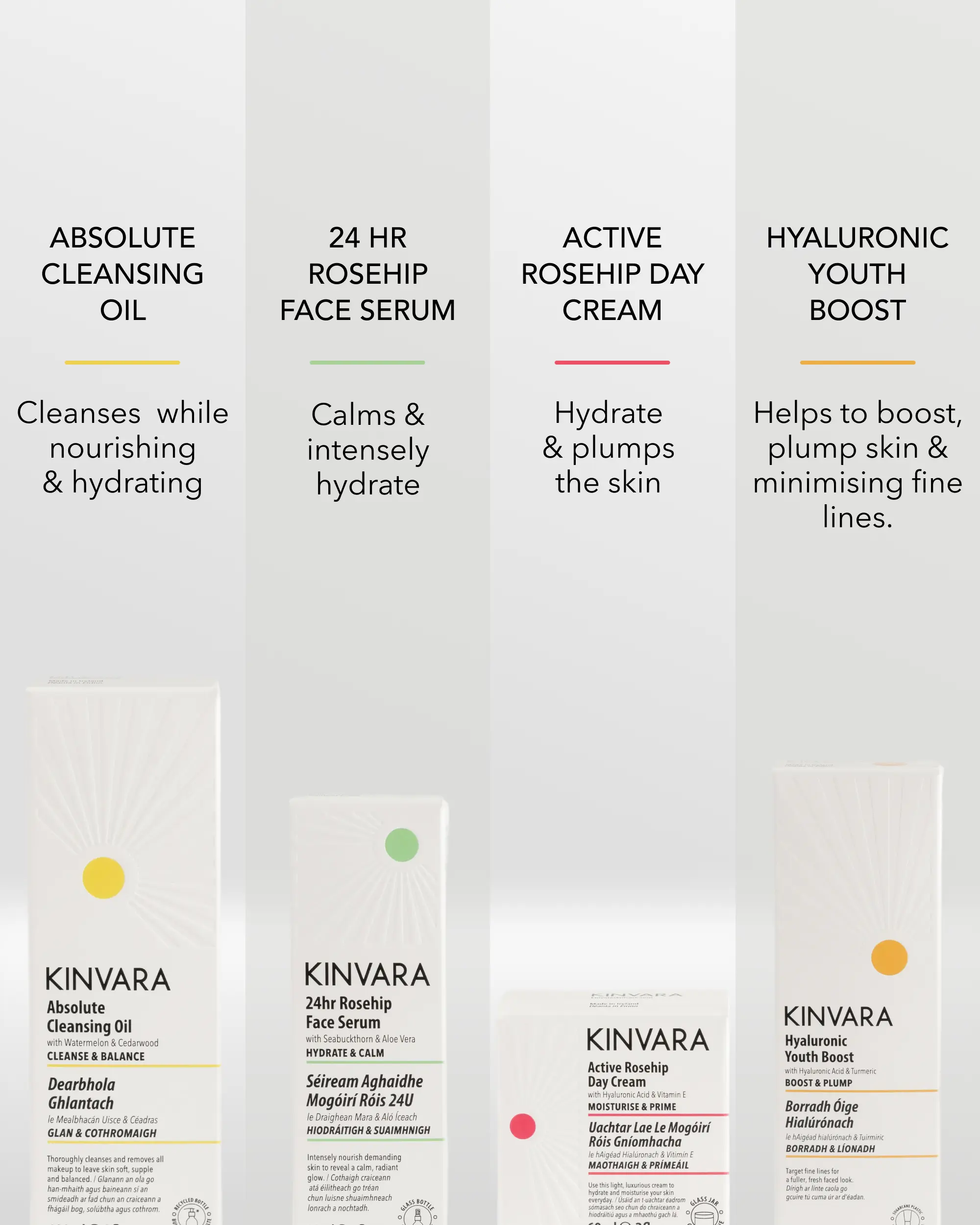 The Essentials Bundle